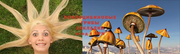 метадон Няндома