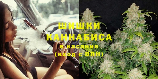ПСИЛОЦИБИНОВЫЕ ГРИБЫ Дегтярск